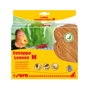 Sera Catappa Leaves - M Sera Catappa Leaves - M