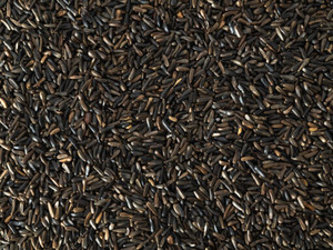 Topflite Niger Seed 1kg Topflite Niger Seed 1kg