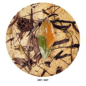 WIO Everglades Riverbed 2kg WIO Everglades Riverbed 2kg