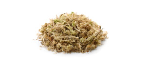 Sphagnum Moss Dry 25g Sphagnum Moss Dry 25g