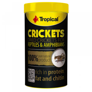Front of Tropical Dried Crickets - Natural Insect Food 250ml (25g) Tub