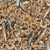 Sera Raffy Royal Nature Treats Sera Raffy Royal Nature Treats