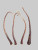Skinned Possum Tail