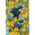 Artgame 3D Postcards