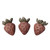 Unpackaged Pet One Small Animal Treat Strawberries - 3pcs