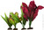 Aqua One Silk Plant - 4pk Mix 40cm | 24241