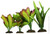 Unpackaged Aqua One Silk Plant - 4pk Mix | 24243