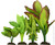 Unpackaged Aqua One Silk Plant - 4pk Mix 5 | 24245