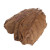 Catappa Leaves 10 Pack