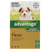 Advantage For Small Dogs & Puppies Less Than 4kg - 4pk Advantage For Small Dogs & Puppies Less Than 4kg - 4pk