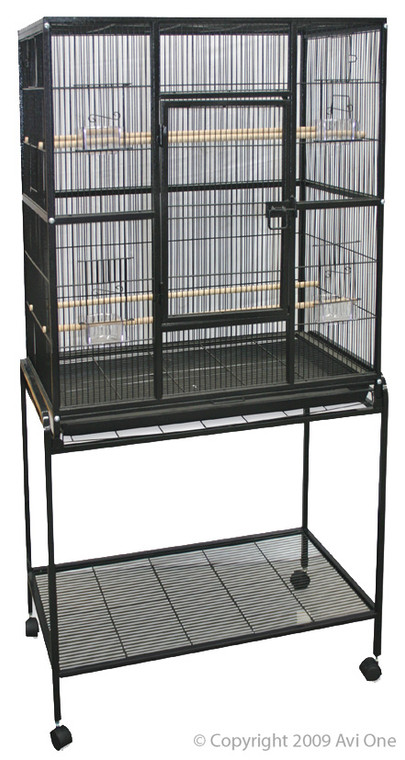 WonderWorld Bird Starter Kit.