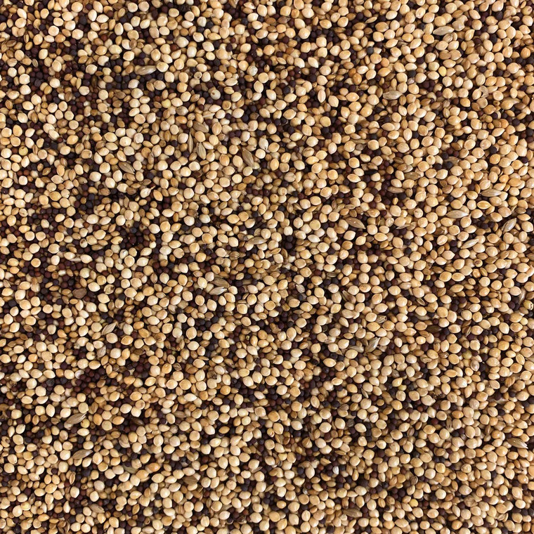 Picture of Topflite Finch Seed Mix, with no packaging