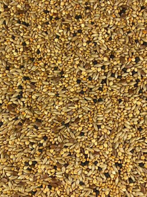 Topflite Finch seed mix