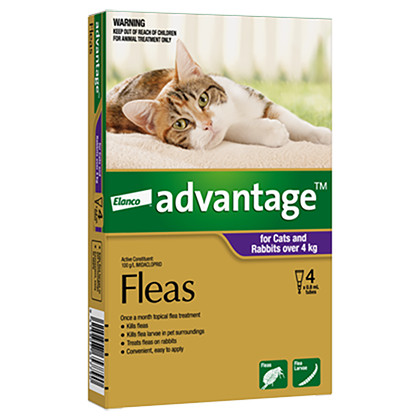 Advantage Flea Treatment For Cats & Rabbits Over 4kg - 4 Pack