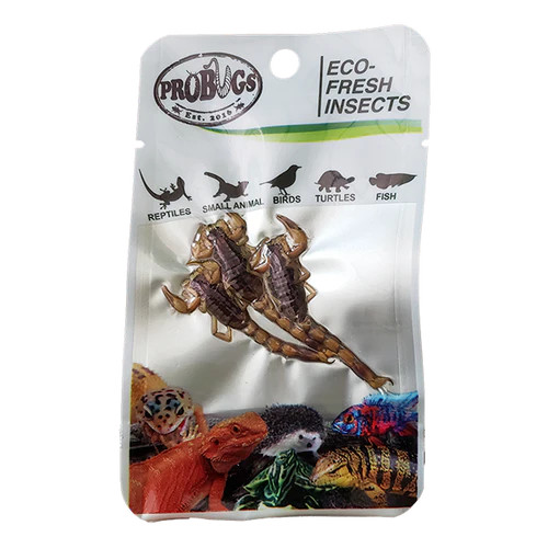 Front of Probugs Scorpion 3 pieces pouch