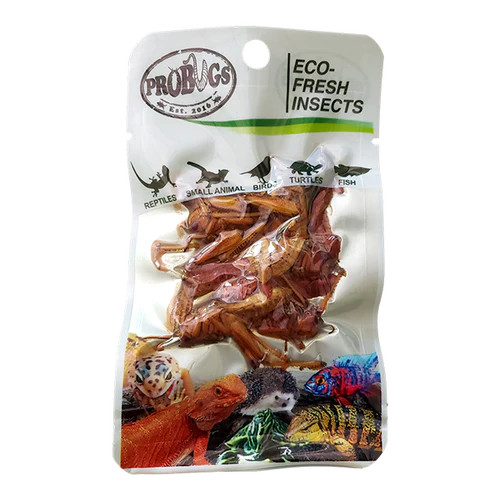 Front of Probugs Grasshopper 8 pieces pouch