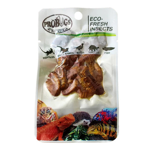 Front of Probugs Silkworm Pupae 15g Pouch