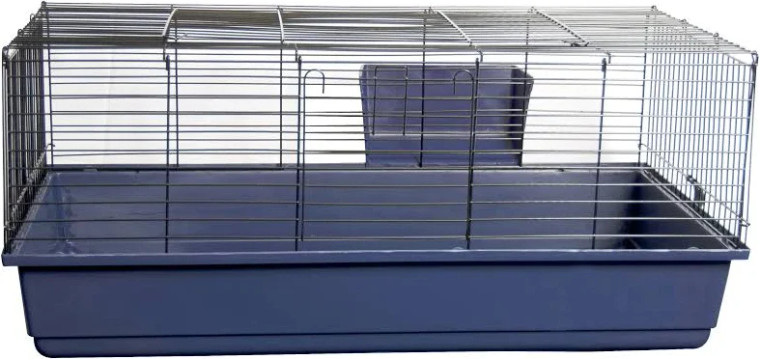 Erected Guinea Pig Cage