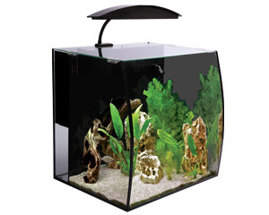 Aqua One Arc 46 Glass Aquarium 46L 40L X 34.5D X 40cm H