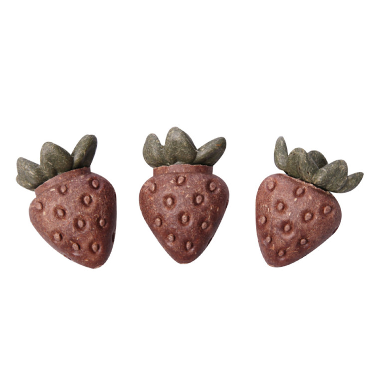 Pet One Small Animal Treat Strawberries - 3pcs