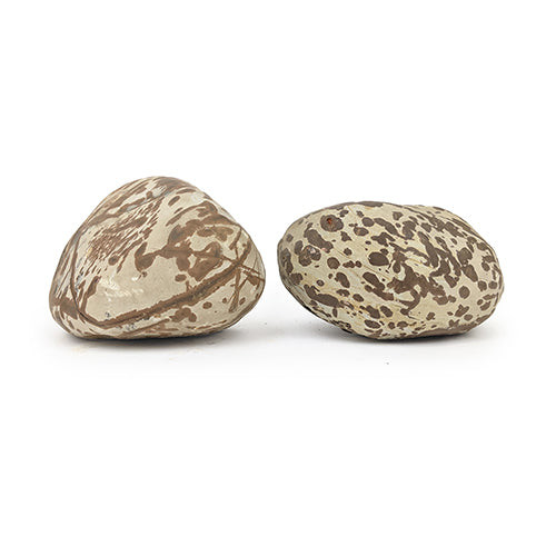 Two Swan rock