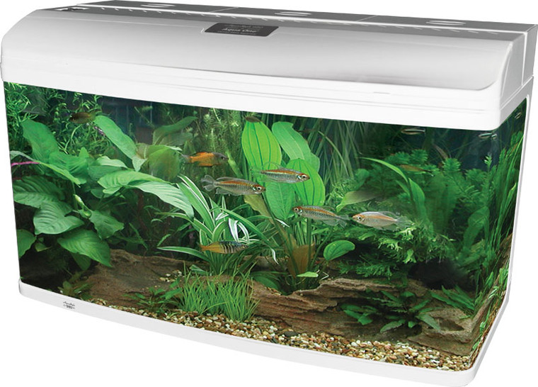 Front of Aqua One AR980 AquaStyle Tank - Gloss White 215L