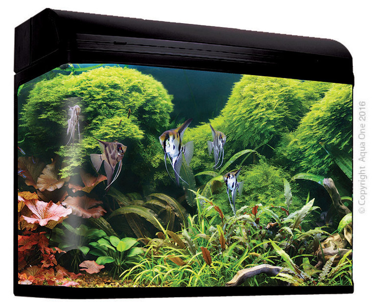 Front of Aqua One AR980T AquaStyle Gloss Black | 245L