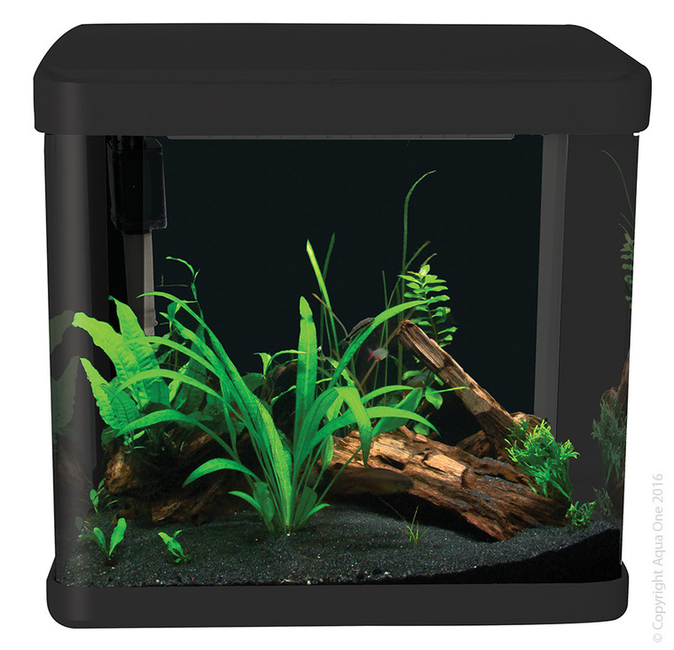 Front of Aqua One Lifestyle 21 Complete Glass Aquarium 32cm - 21L | Gloss Black