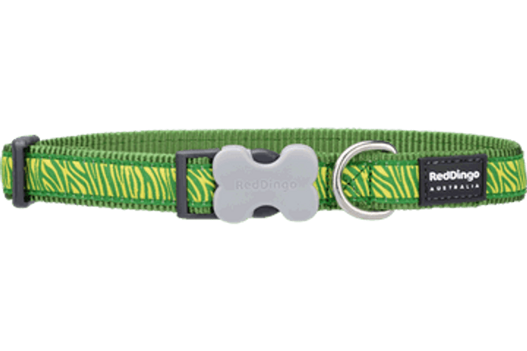 Red Dingo Dog Collar Safari Green 25mm X 41-63cm