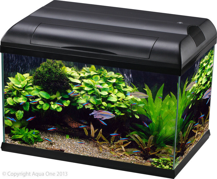 Side view of the Aqua One Ecostyle 61 Rectagular Aquarium (Black), 70L