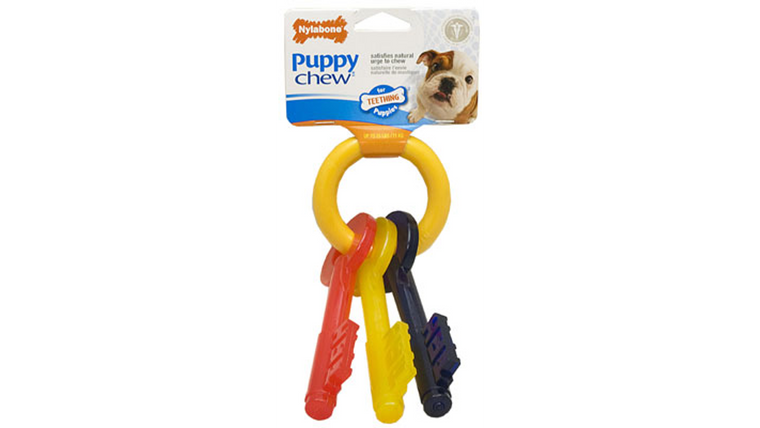 Nylabone Puppy Teething Keys - Smalln220p
