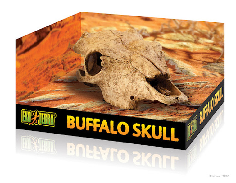 Exo Terra Decor - Buffalo Skull