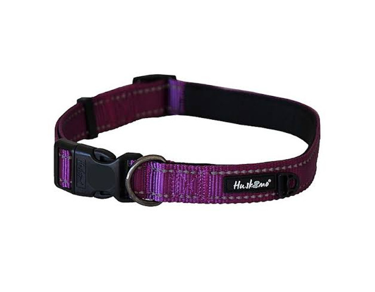 Huskimo Altitude Signature Collar Xl Aurora