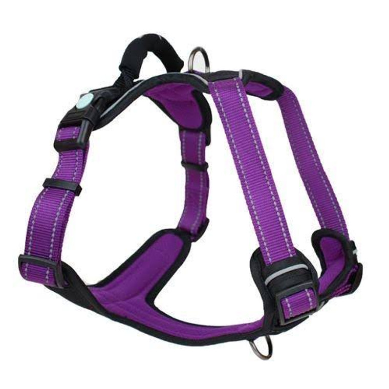 Huskimo Harness Ultimate Aurora Medium