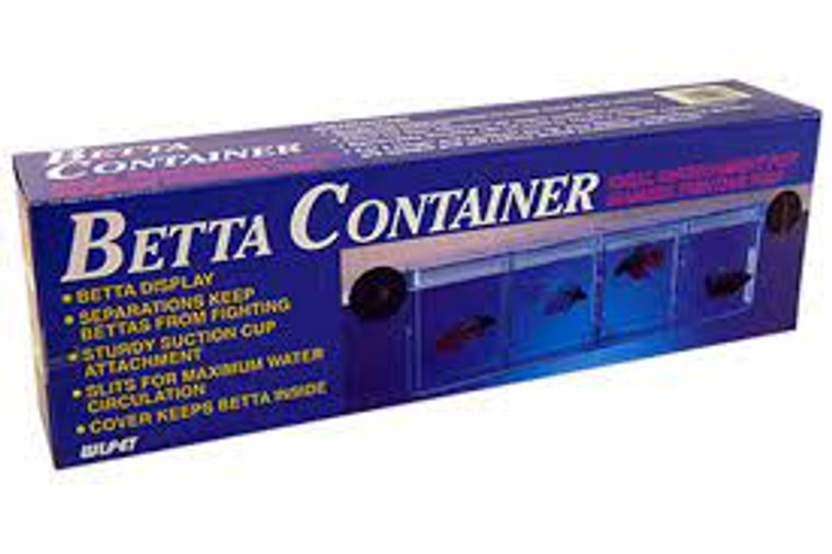 4-Way Betta Container