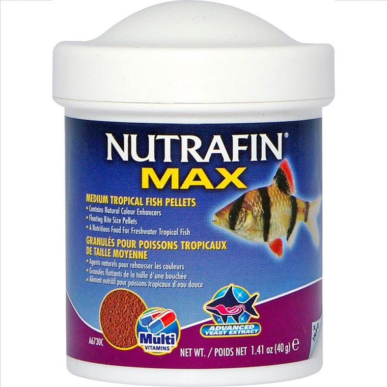 Nf Max Med Tropical Fish Pellets 40g