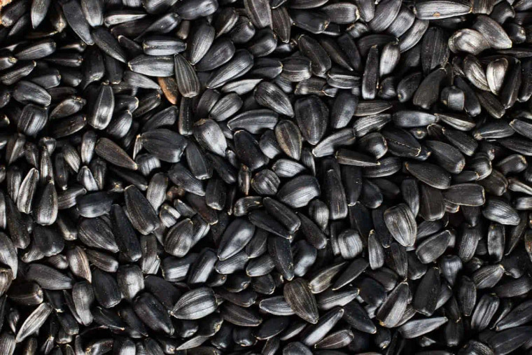 Black Sunflower Seed 1Kg