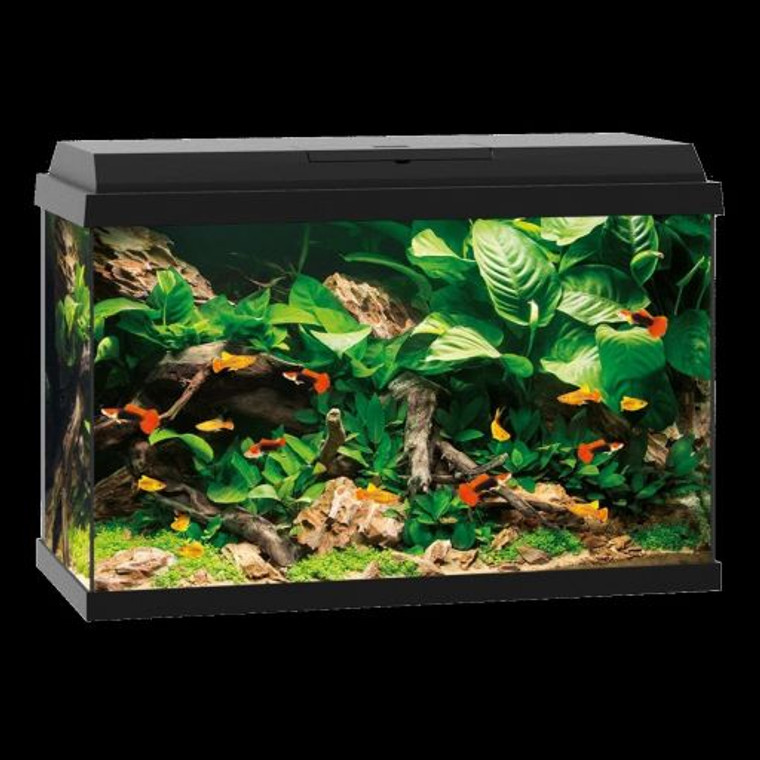 Juwel Primo 70 Black Aquarium, Entry into aquariums at the highest technical level. Modern LED lighting and efficient filtering round of the Primo concept perfectly.