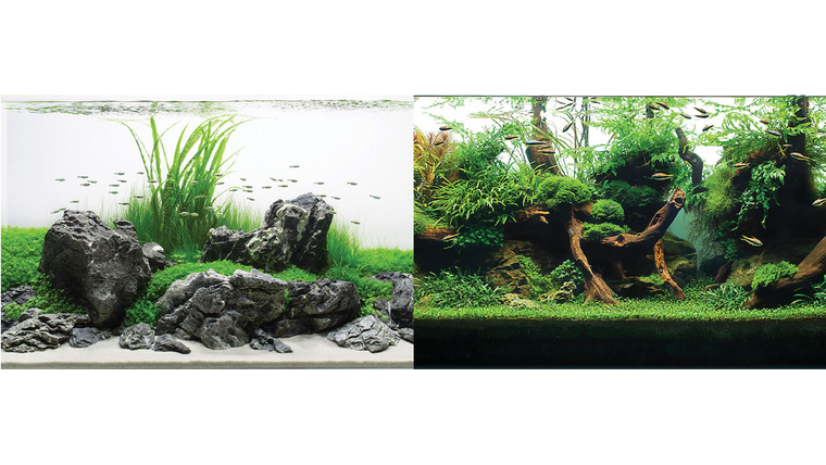 Precut Greenspike/Amazonia 30x60cm