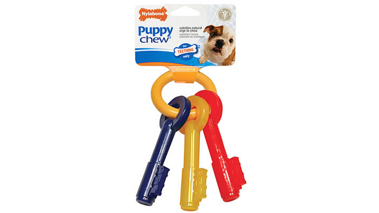 Nylabone Puppy Teething Keys