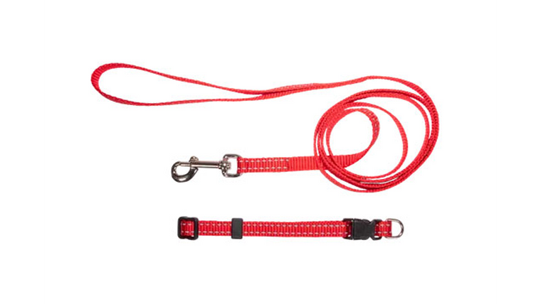 Nylon Reflect Puppy Collar + Lead Set Red