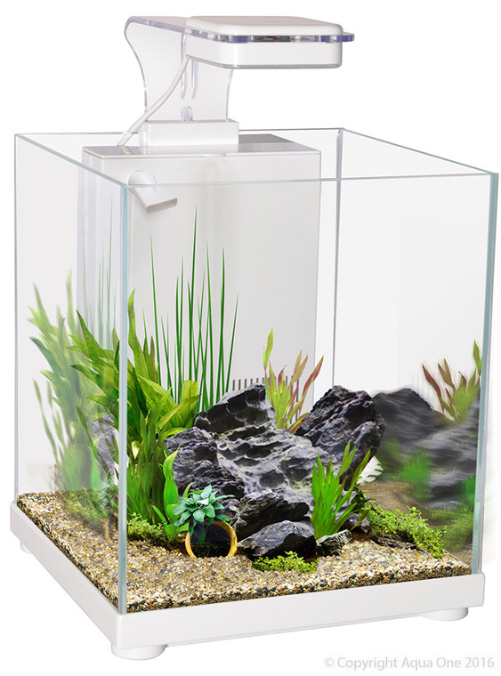 Betta Sanctuary Glass Aquarium 10l 22.4w X 22.4d X 26.3cm H (White)