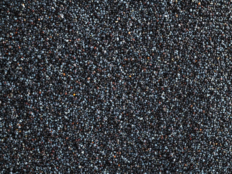 Topflite Blue Maw Seed - 500g | Conditioning Bird Food