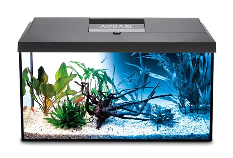 AQUAEL Aquarium LEDDY Day & Night 60 Set -Black