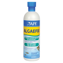 Front of API Algaefix Bottle