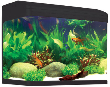 Aqua One Ar620 Aquastyle Tank (Gloss Black) 90l Wonderworld