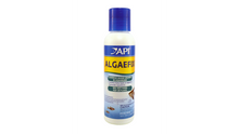 Api Algaefix 118ml