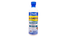 Api Algaefix 473ml