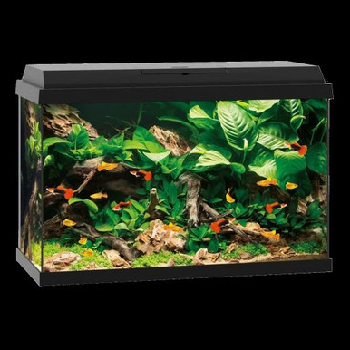 Juwel Primo 60 Litre Aquarium