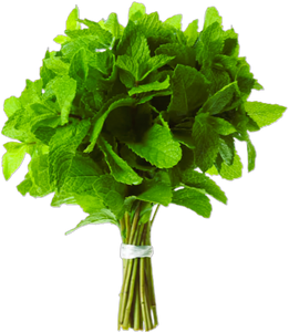 Mint Bunch 0.99